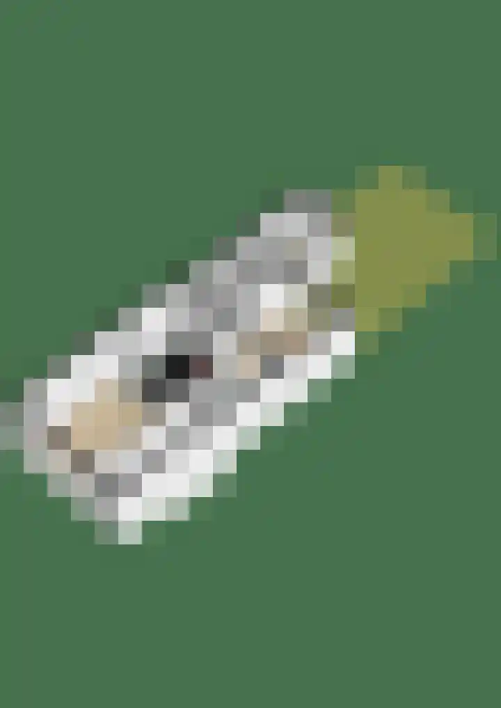 Ieplaan 74 Waddinxveen thumbnail 47