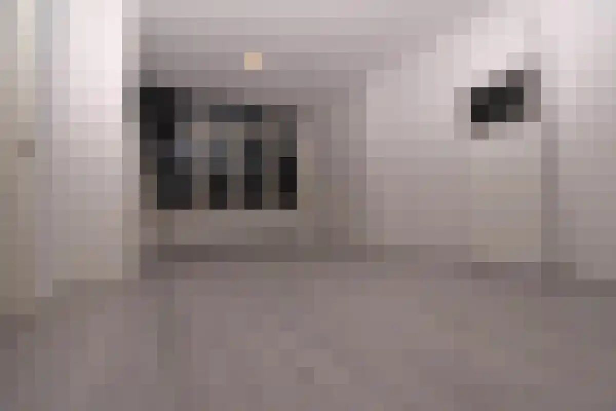 Ieplaan 8 Den Haag thumbnail 4