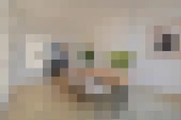 Ieplaan 89 Den Haag thumbnail 16