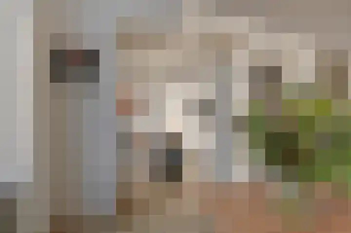 Ieplaan 89 Den Haag thumbnail 17