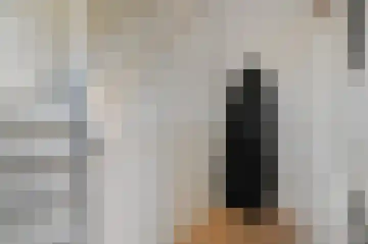 Ieplaan 89 Den Haag thumbnail 5