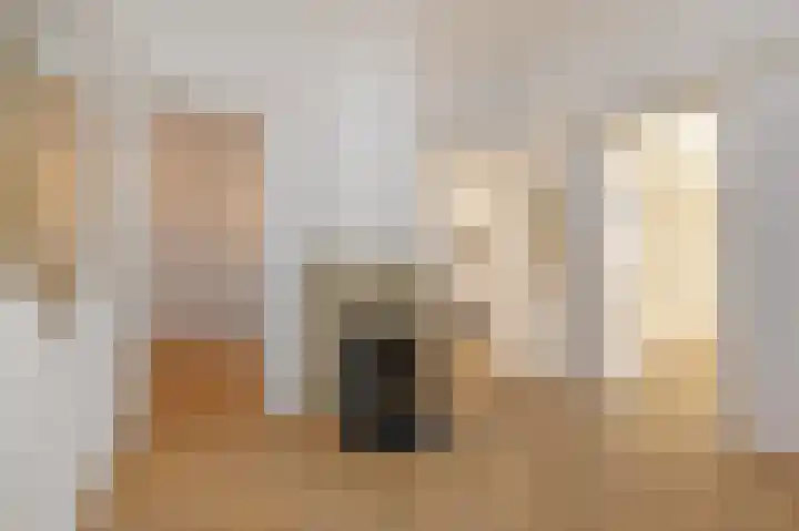 Ieplaan 89 Den Haag thumbnail 6