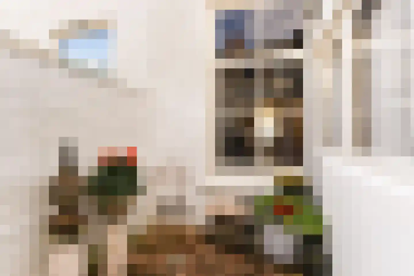 Iepstraat 12 Utrecht thumbnail 11
