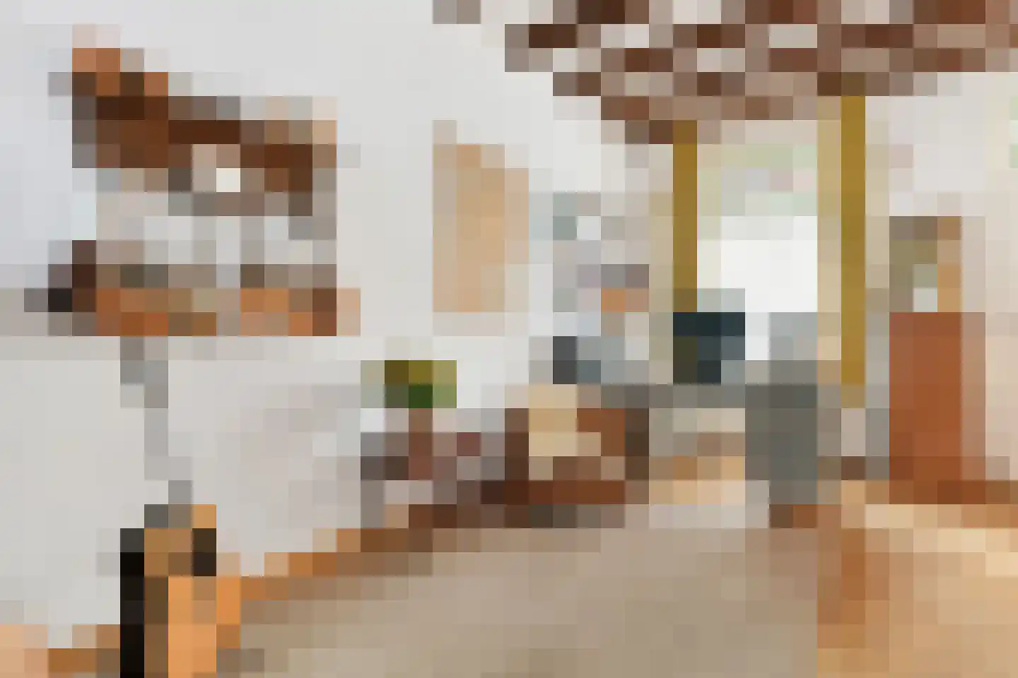 Iepstraat 12 Utrecht thumbnail 18