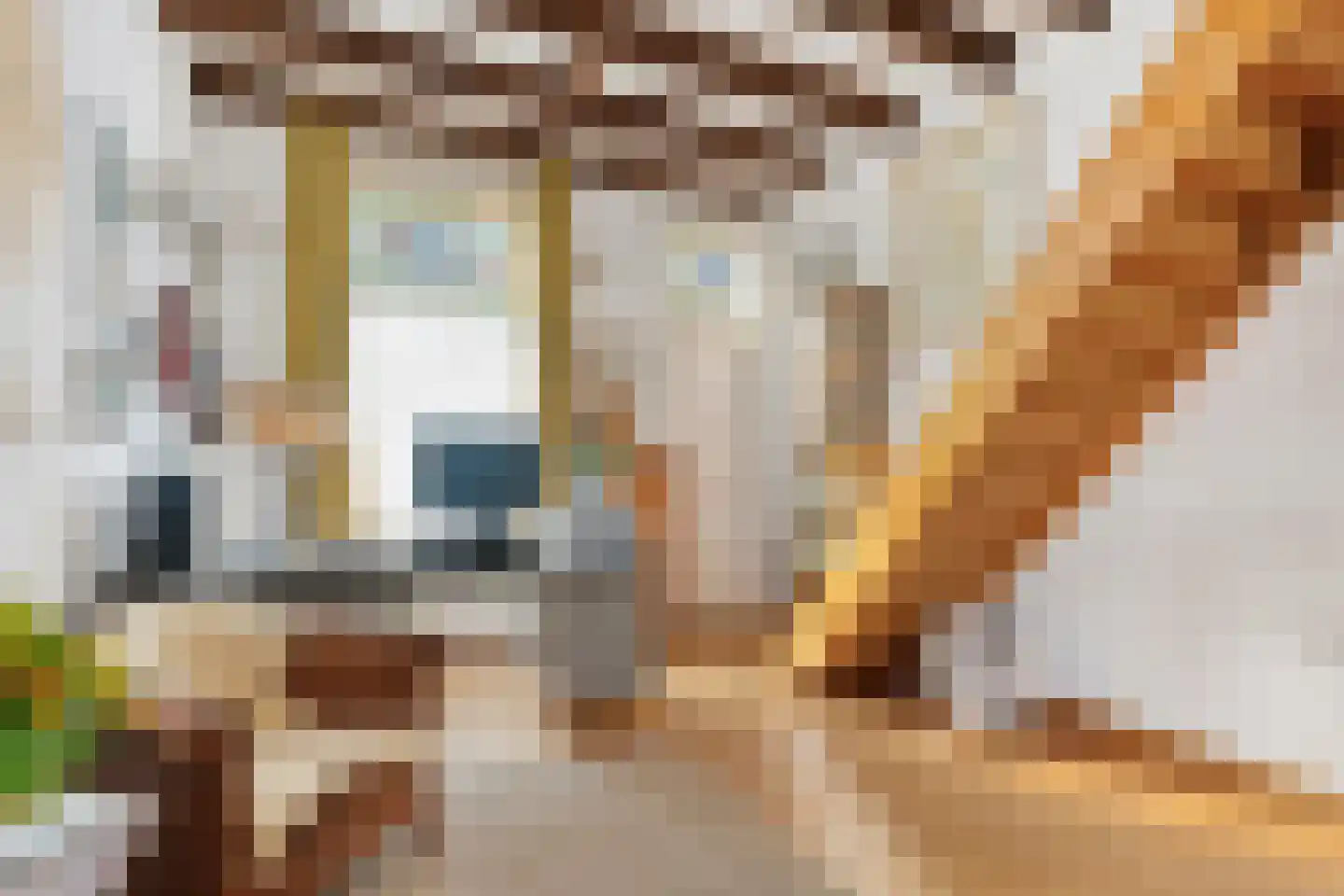 Iepstraat 12 Utrecht thumbnail 20