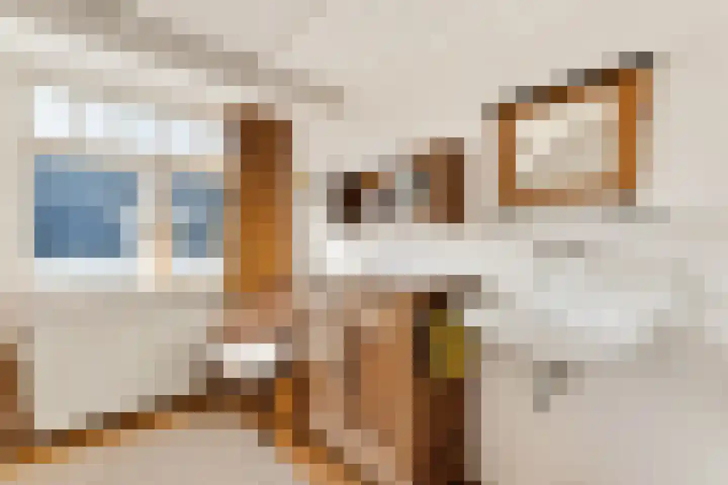 Iepstraat 12 Utrecht thumbnail 26