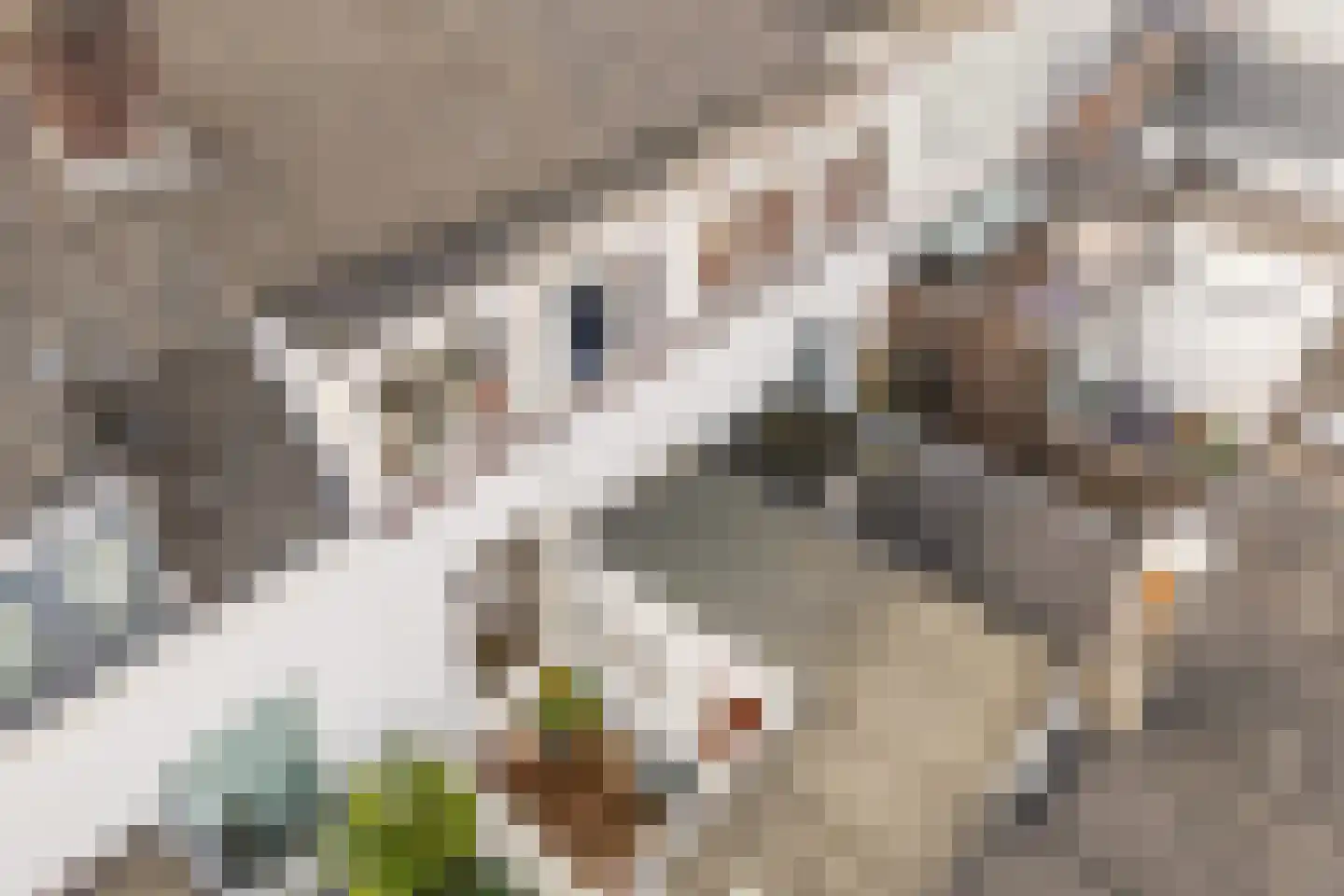 Iepstraat 12 Utrecht thumbnail 43
