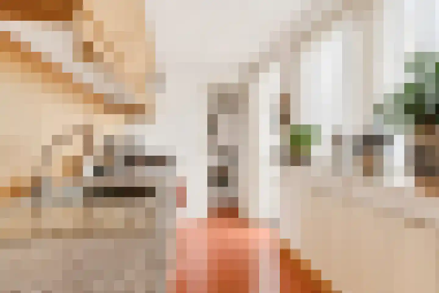 Iepstraat 12 Utrecht thumbnail 9