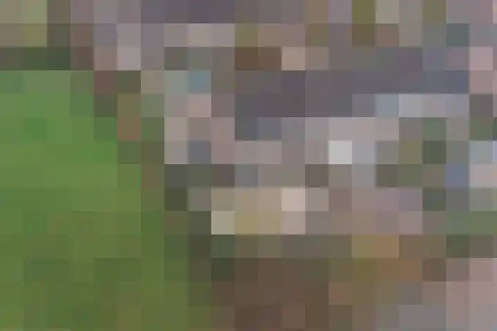Iepstraat 13 Boven-Leeuwen thumbnail 37