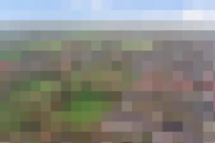 Iepstraat 13 Boven-Leeuwen thumbnail 40