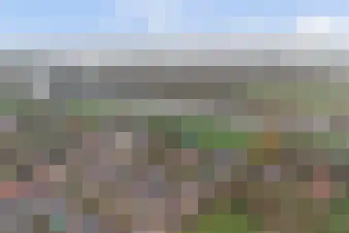Iepstraat 13 Boven-Leeuwen thumbnail 41