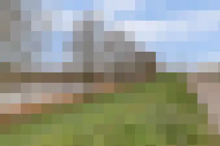 Iepstraat 13 Boven-Leeuwen thumbnail 42