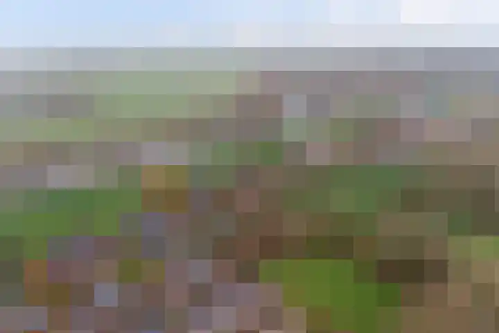 Iepstraat 13 Boven-Leeuwen thumbnail 43