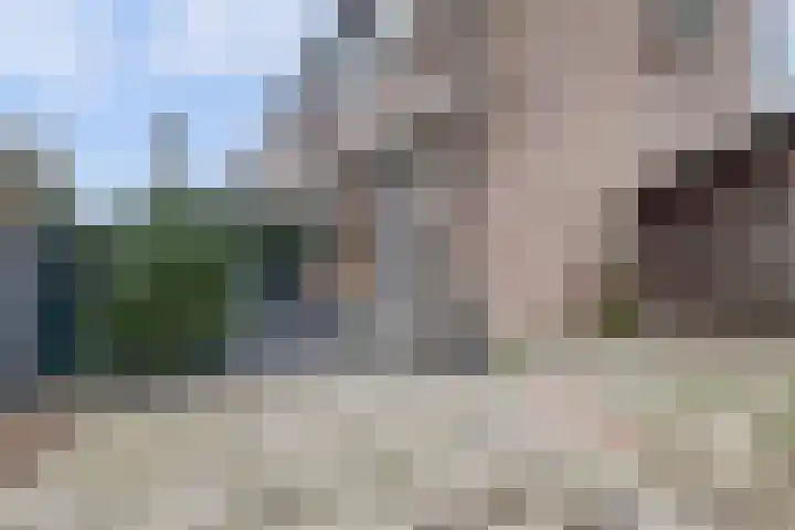 Iepstraat 13 Boven-Leeuwen thumbnail 5