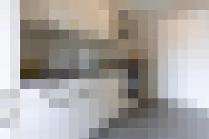 Iepstraat 15 Bergen op Zoom thumbnail 10