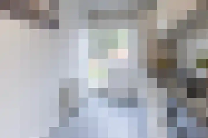 Iepstraat 15 Bergen op Zoom thumbnail 11