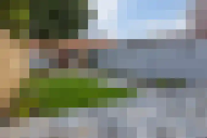 Iepstraat 15 Bergen op Zoom thumbnail 24