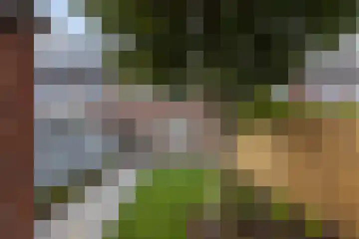 Iepstraat 15 Bergen op Zoom thumbnail 26