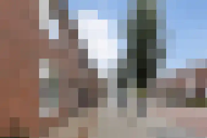 Iepstraat 15 Bergen op Zoom thumbnail 28