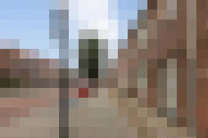 Iepstraat 15 Bergen op Zoom thumbnail 29