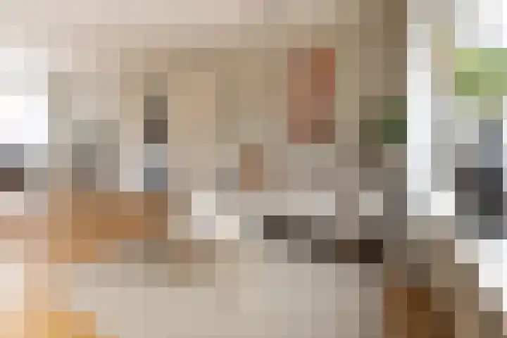 Iepstraat 15 Bergen op Zoom thumbnail 4