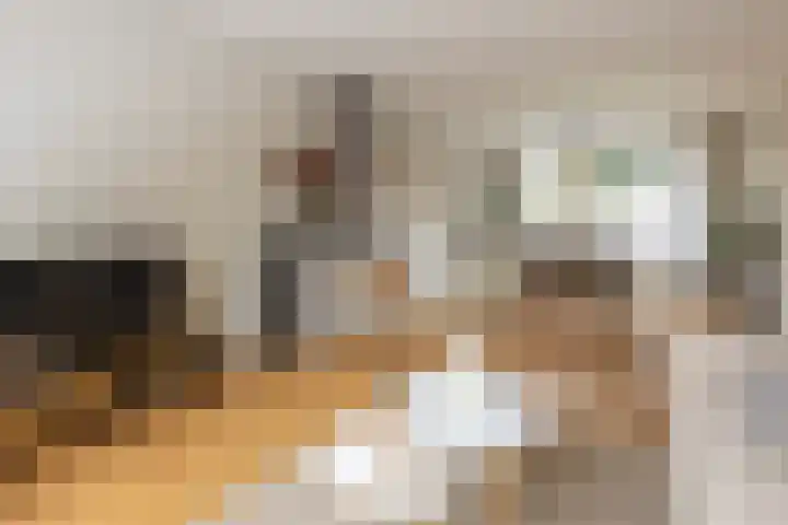 Iepstraat 15 Bergen op Zoom thumbnail 5