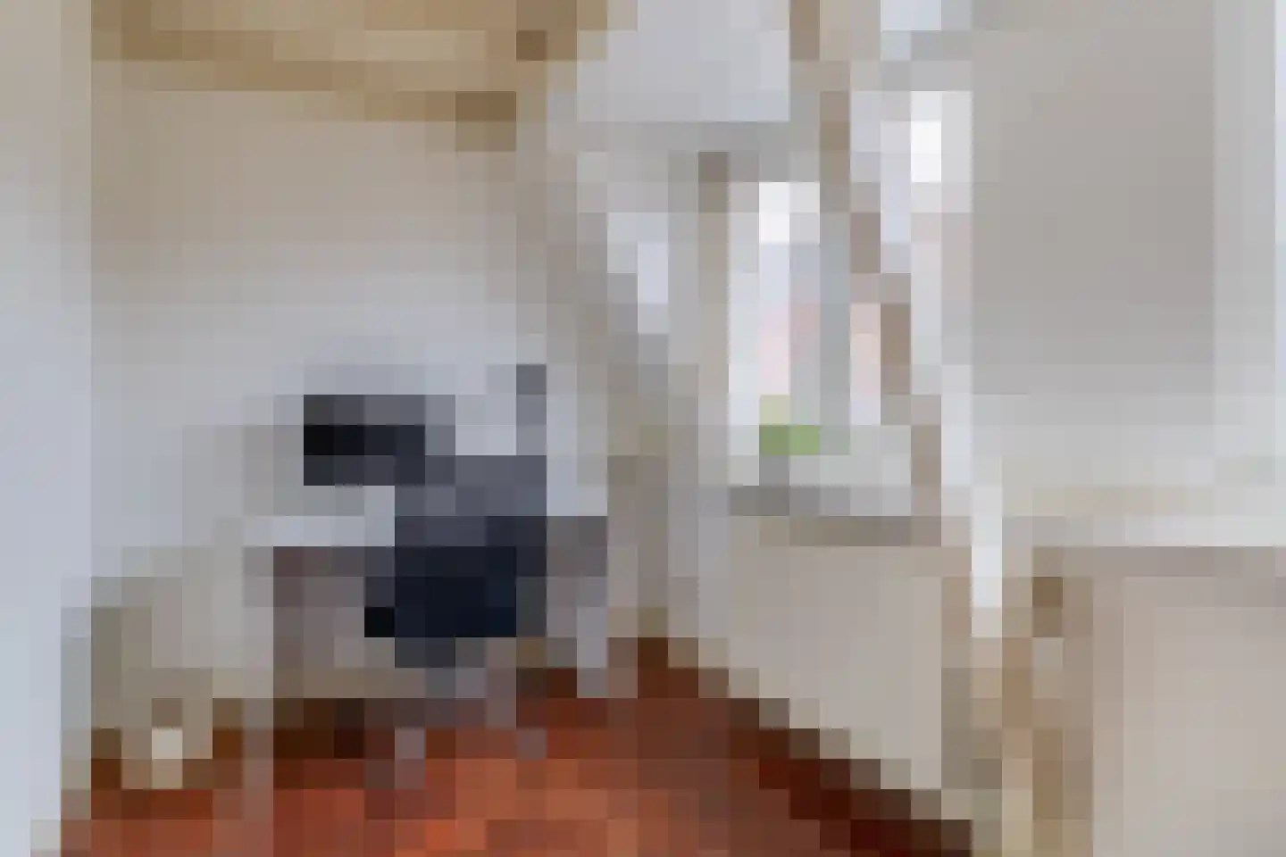 Iepstraat 28 Utrecht thumbnail 28