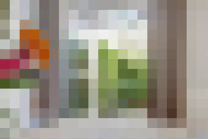 Iepstraat 3 Utrecht thumbnail 10