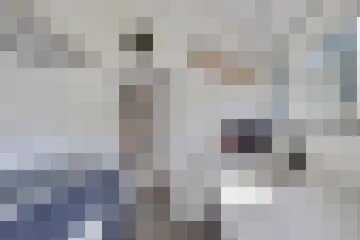 Iepstraat 3 Utrecht thumbnail 15