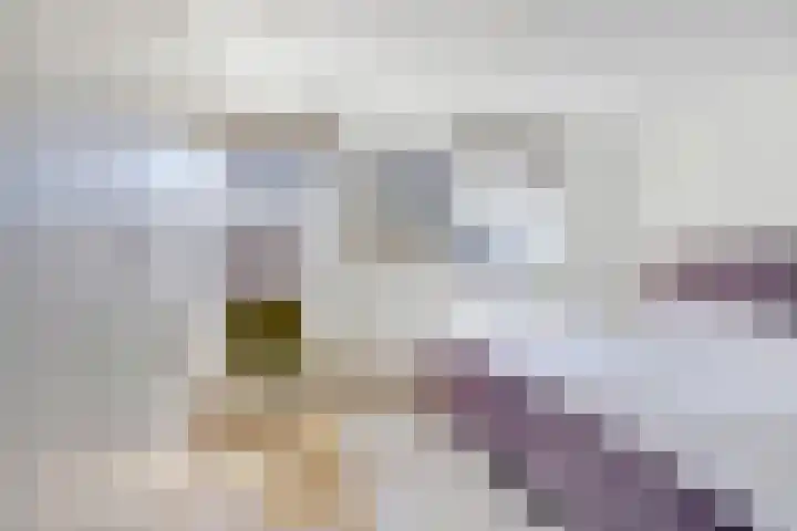 Iepstraat 3 Utrecht thumbnail 20