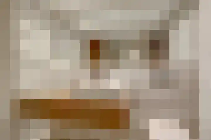Iepstraat 3 Utrecht thumbnail 23