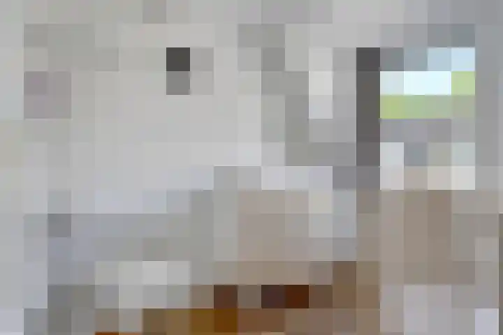 Iepstraat 3 Utrecht thumbnail 25