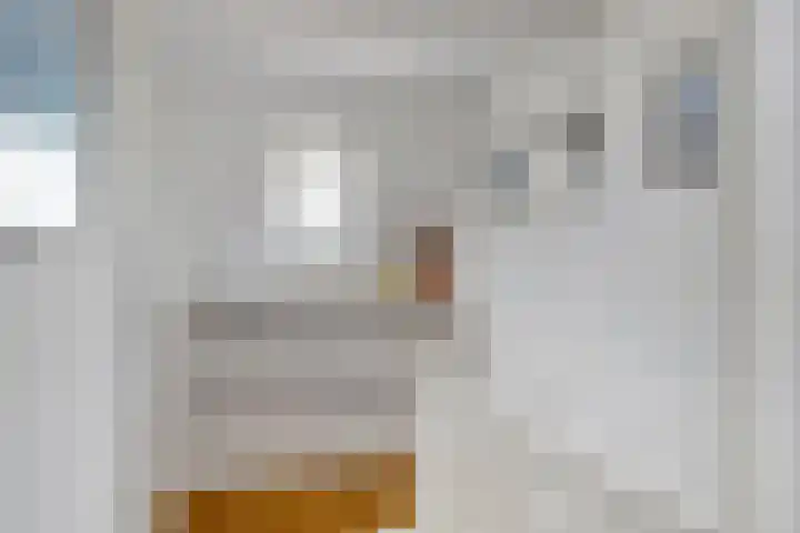 Iepstraat 3 Utrecht thumbnail 28