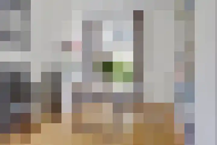 Iepstraat 3 Utrecht thumbnail 4