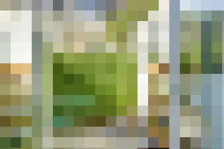 Iepstraat 3 Utrecht thumbnail 5