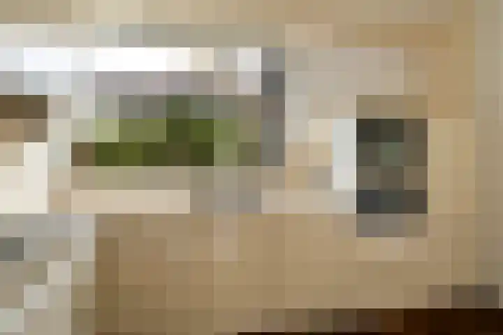 Iepstraat 31 Nieuwegein thumbnail 11