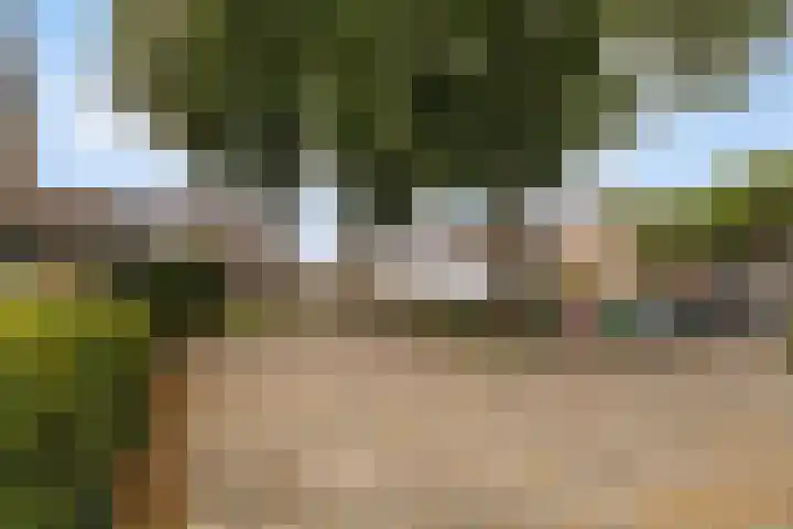Iepstraat 31 Nieuwegein thumbnail 27