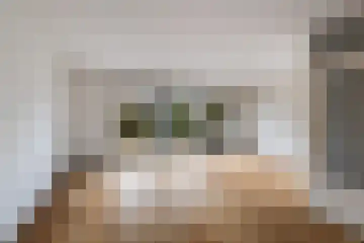 Iepstraat 31 Nieuwegein thumbnail 7