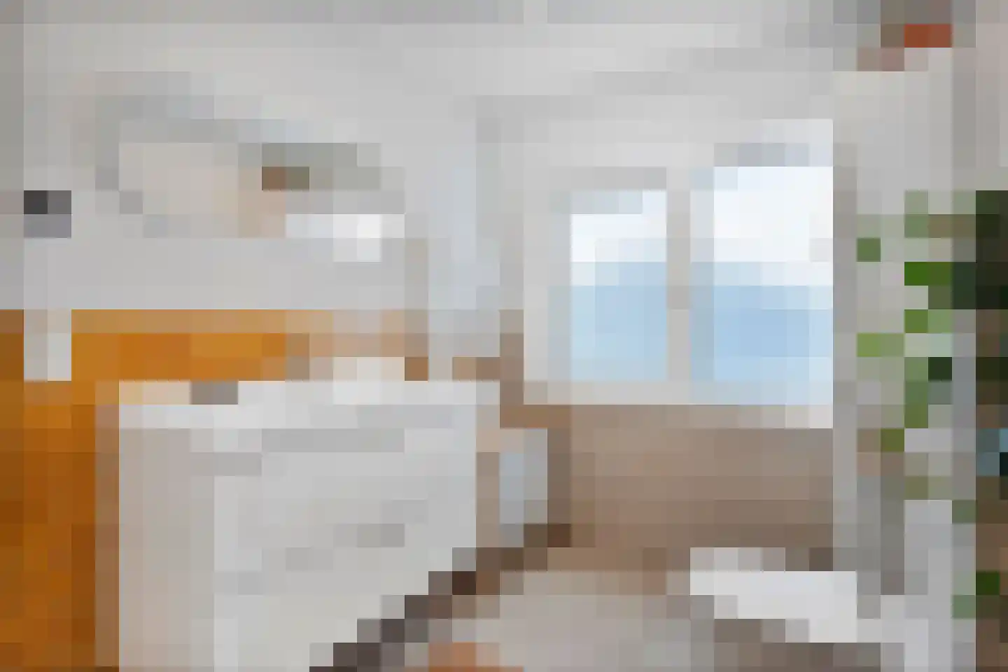 Iepstraat 4 Beek thumbnail 19