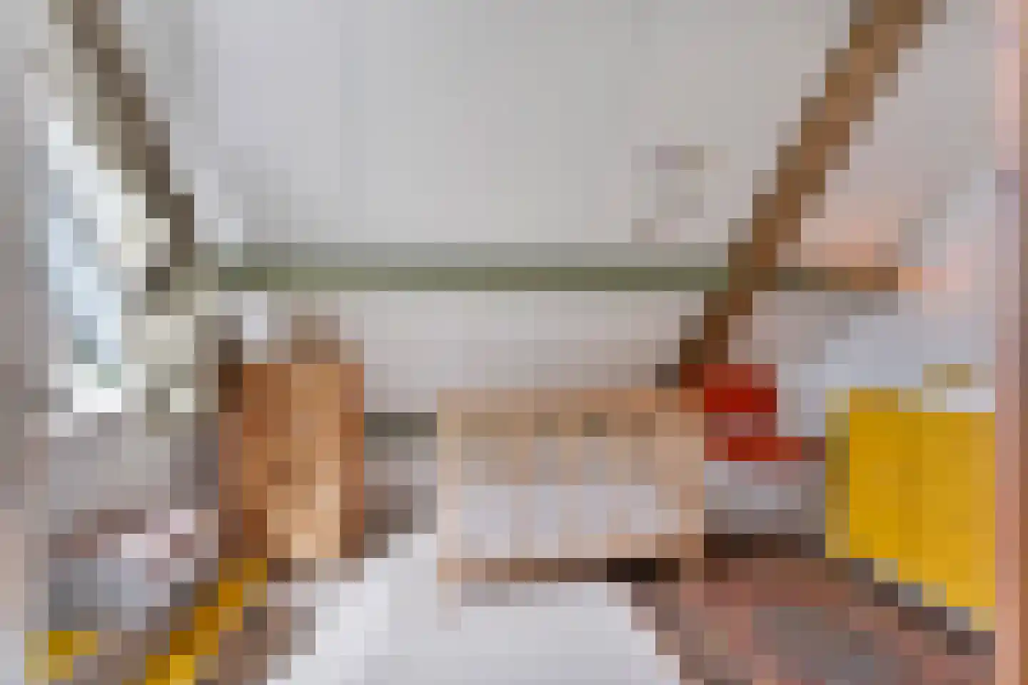 Iepstraat 4 Beek thumbnail 23