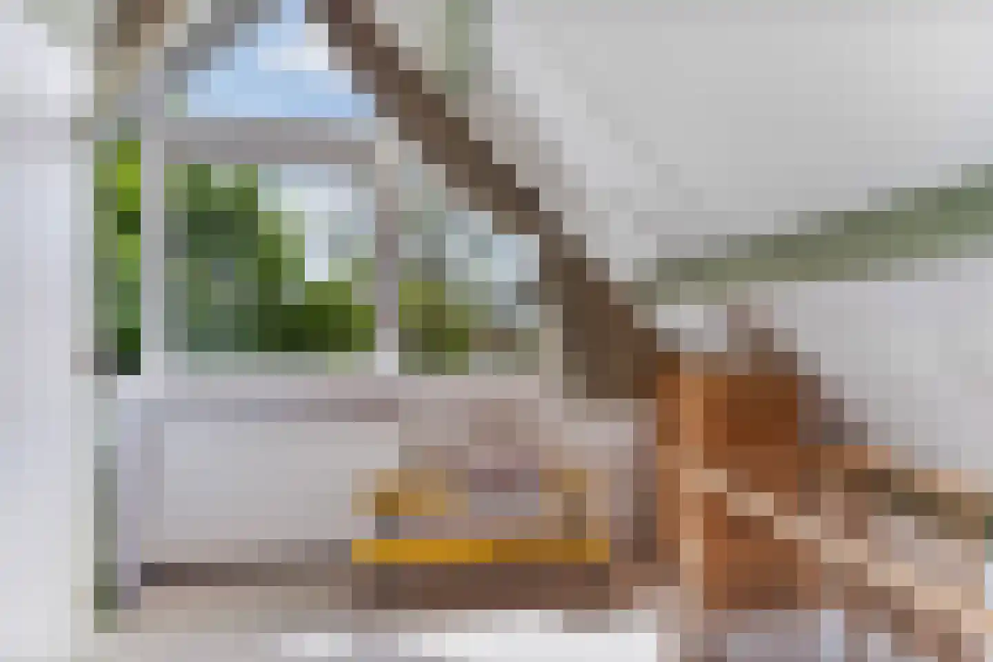 Iepstraat 4 Beek thumbnail 24