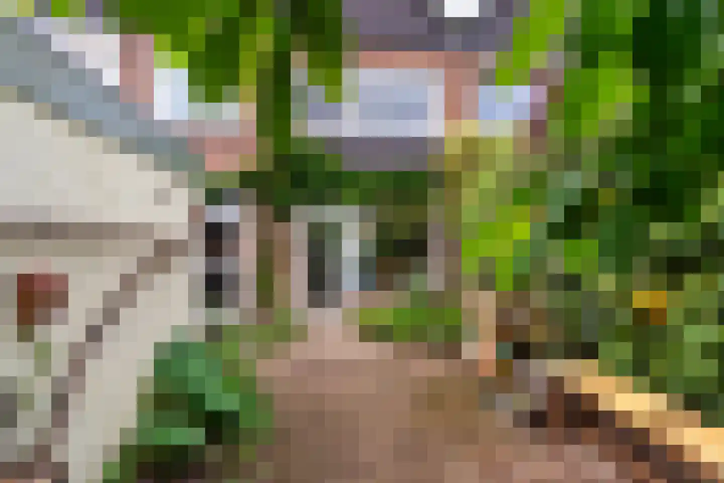 Iepstraat 4 Beek thumbnail 28