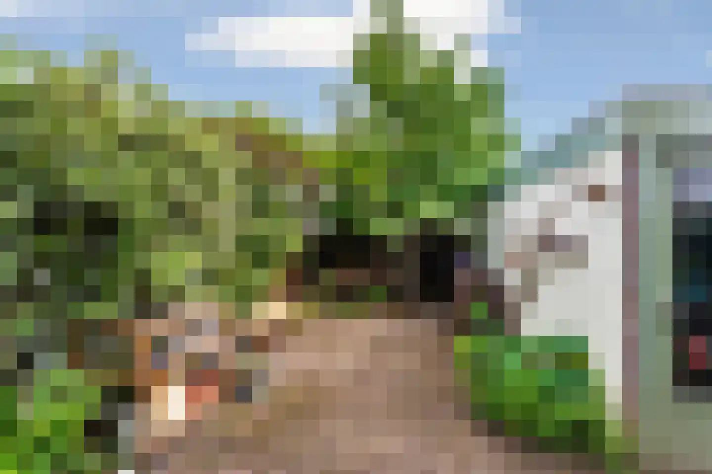 Iepstraat 4 Beek thumbnail 29