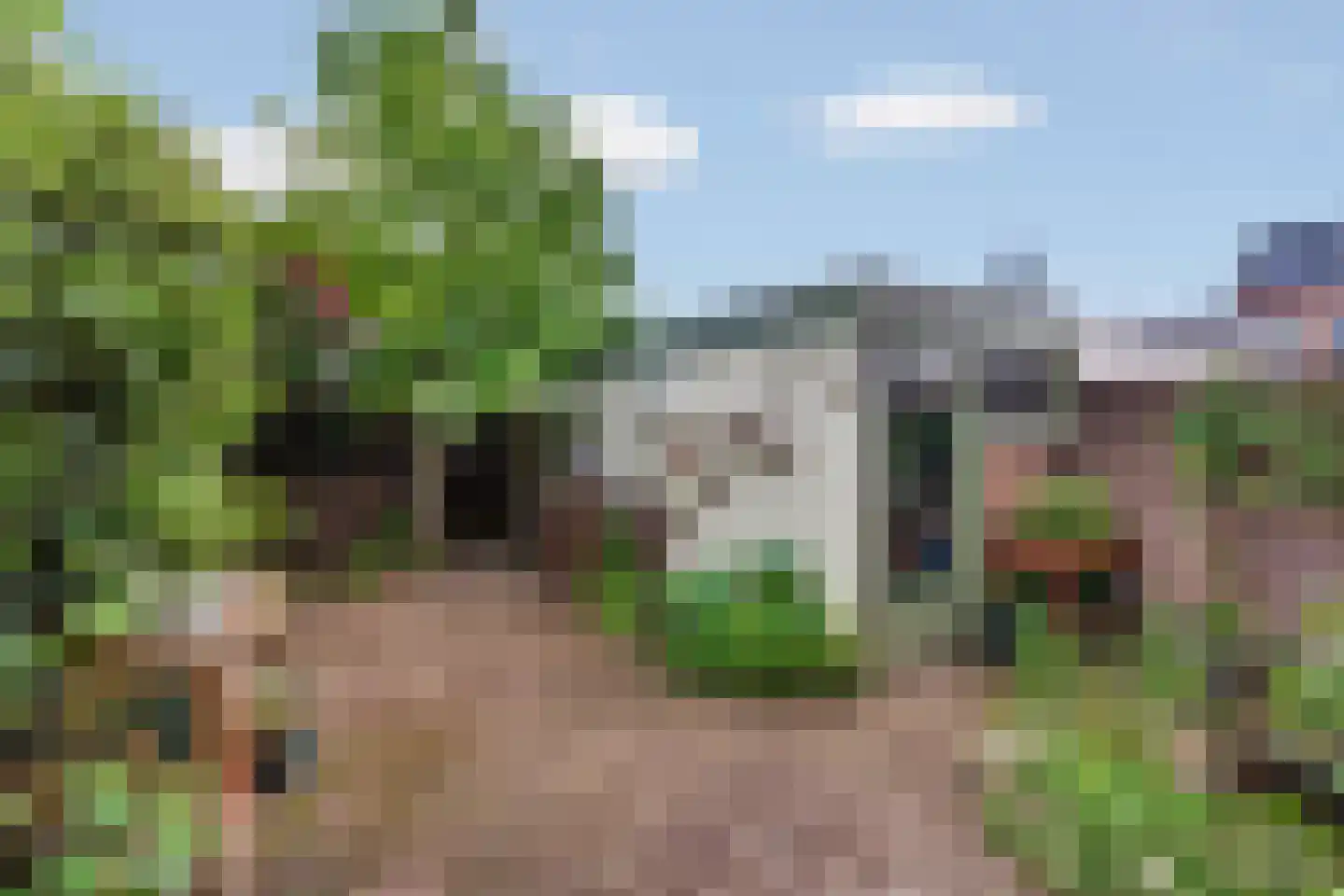 Iepstraat 4 Beek thumbnail 30