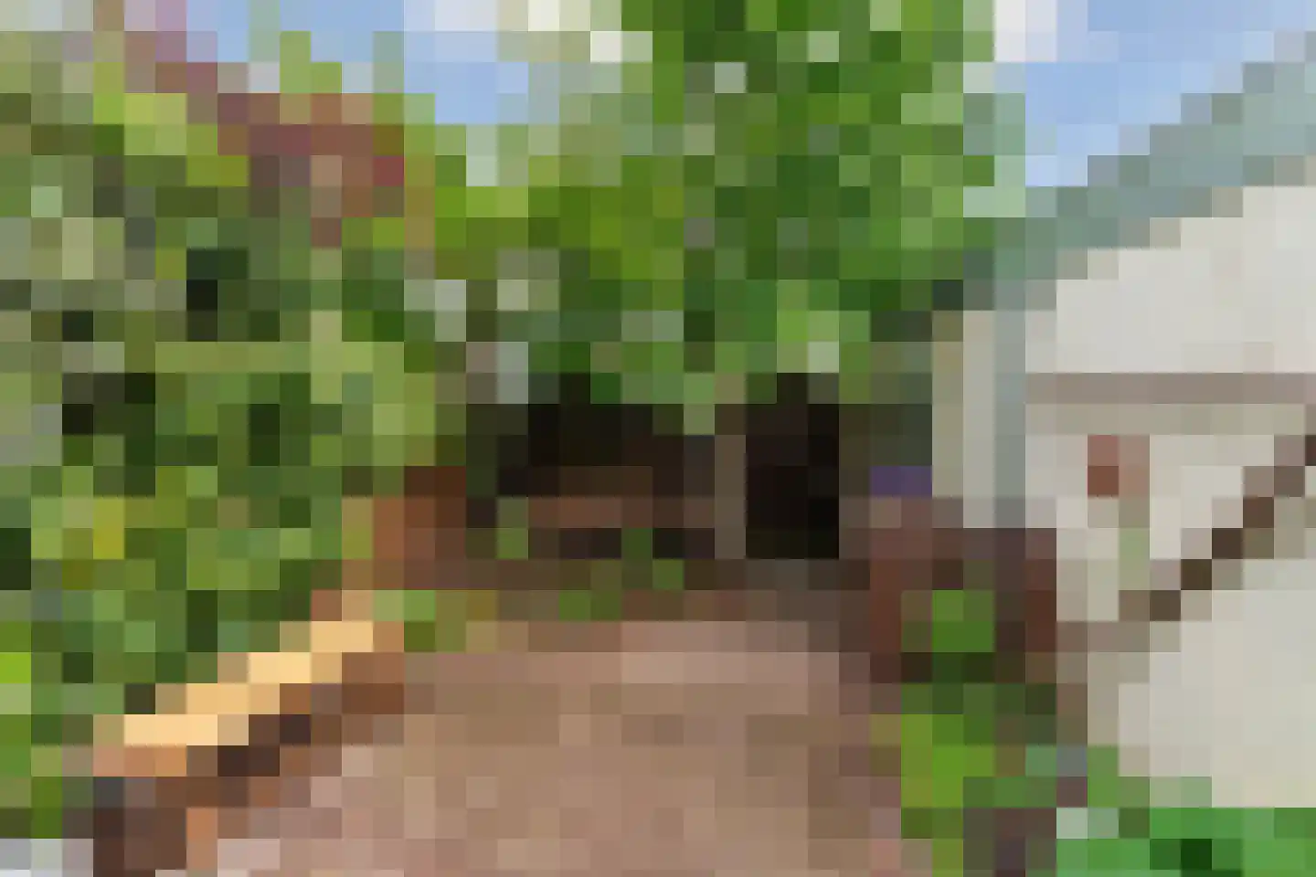 Iepstraat 4 Beek thumbnail 31