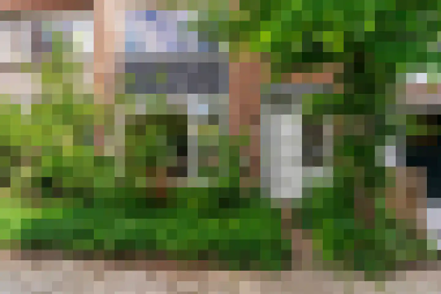 Iepstraat 4 Beek thumbnail 33