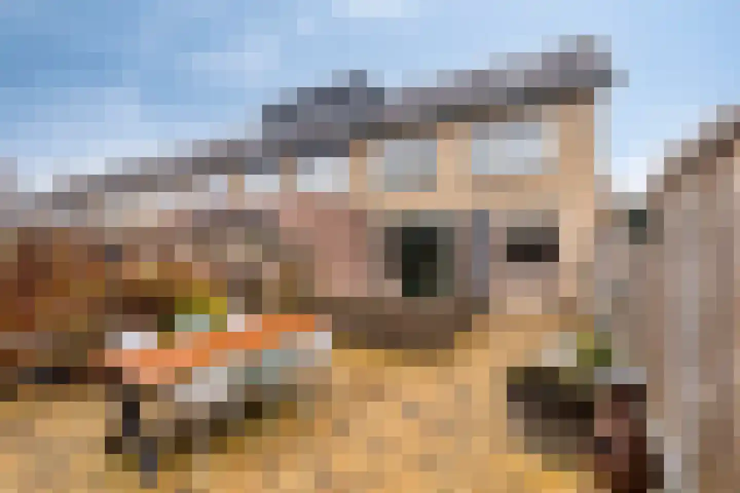 Iepstraat 56 Nieuwegein thumbnail 5