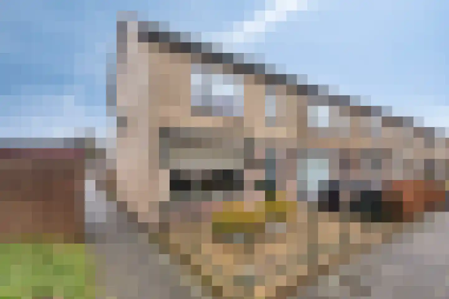 Iepstraat 56 Nieuwegein thumbnail 8
