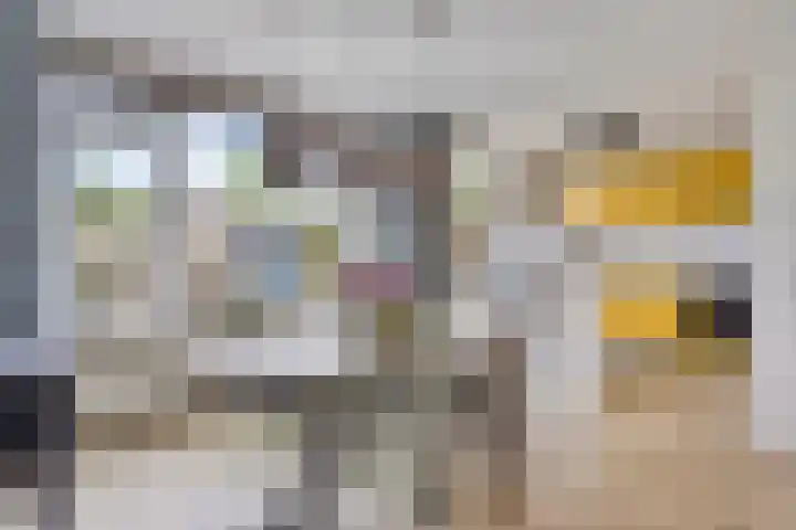 Iepstraat 7 Boven-Leeuwen thumbnail 10