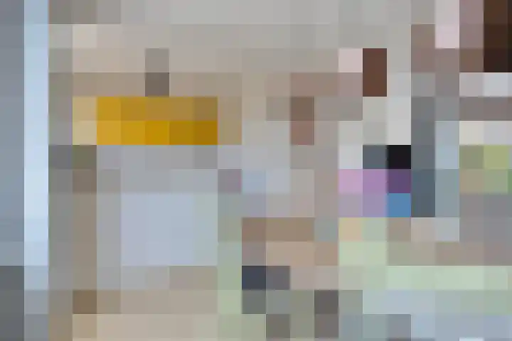 Iepstraat 7 Boven-Leeuwen thumbnail 11